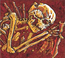 Druids (USA-1) : The Sound of Meditation